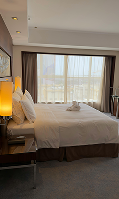 Won_Hotel_Taksim_Istanbul_Turkey_room04